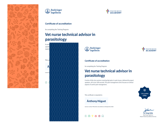 Illustration von offiziellen Animal Health zertifikaten zur Dokumentation von Behandlungen, Pflege und tierärztlichen Nachweisen.