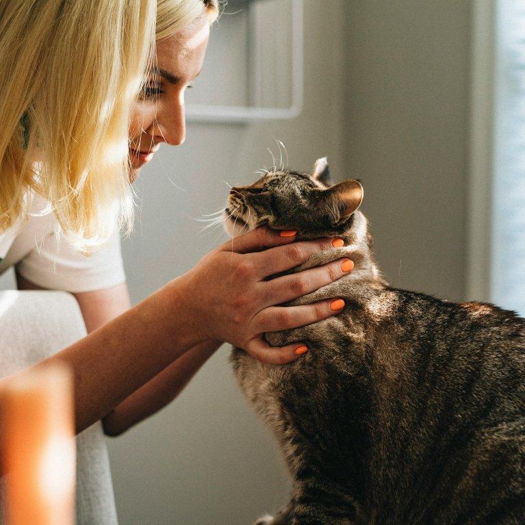 Tierärztliche Fachkraft im einfühlsamen Umgang mit einer Katze in einer ruhigen Praxis – zeigt den Praxisbezug digitaler Lernplattformen für Tierärzt*innen, entwickelt für Boehringer Ingelheim Animal Health.