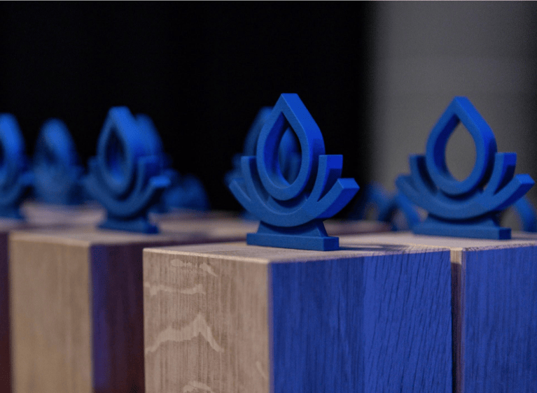 Splash Awards close up