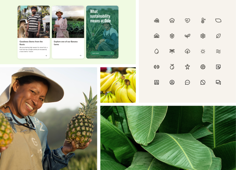 Bild-Collage mit unterschiedlichen Design-Impressionen der Dole Website.