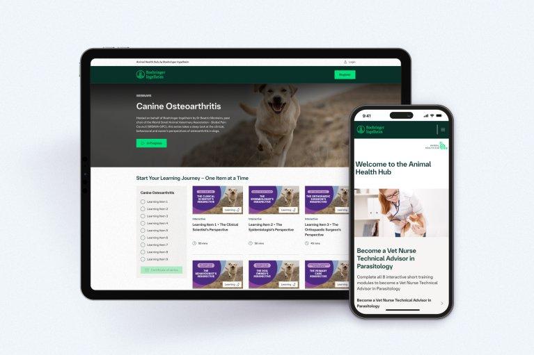 Website von Boehringer Ingelheim Animal Health abgebildet auf einem Tablet und einem Smartphone Display