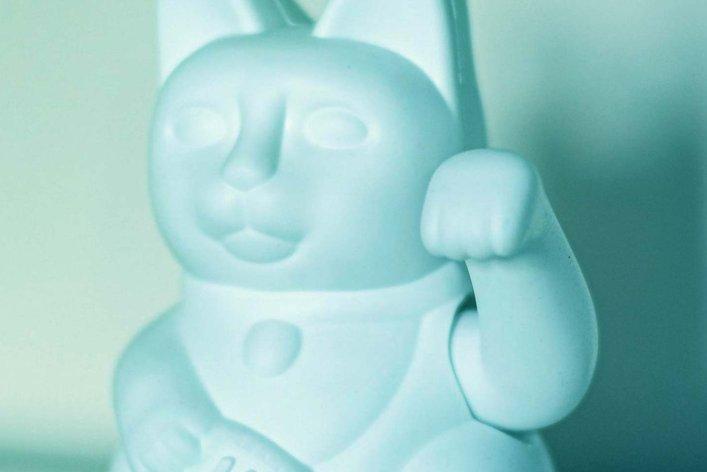 Mobile Version eines Titelbilds für einen Website-Case über eine E-Learning Plattform für Boehringer Ingelheim Animal health, bereitgestellt durch die Factorial GmbH. Das Bild zeigt eine asiatische Winkekatze.