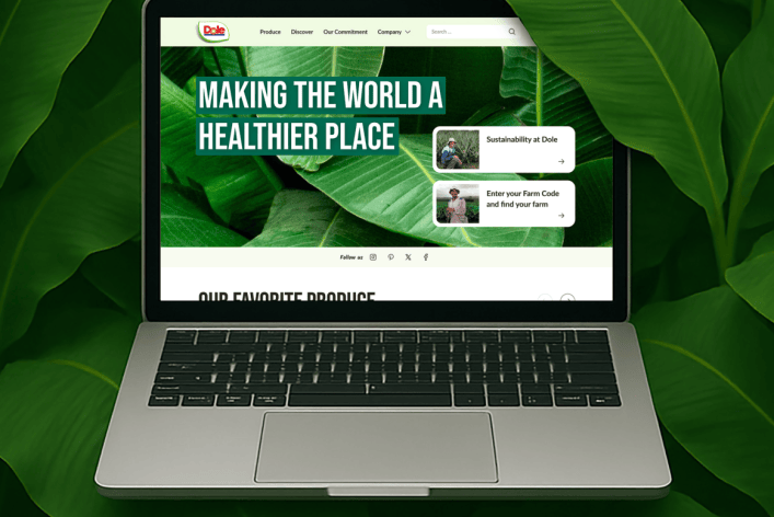 Mockup eines Laptops mit einer Ansicht der Dole-Website auf dem Bildschirm, umgeben von Bananenbaum-Blättern.